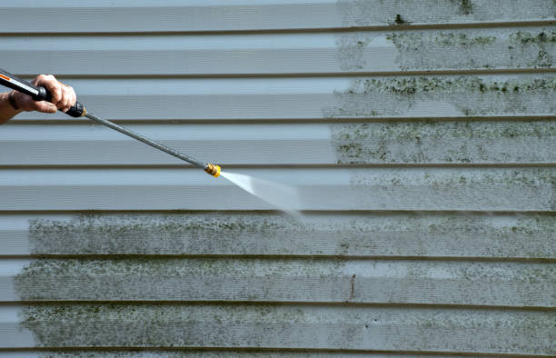 Mold Removal Process in Chinook, MT