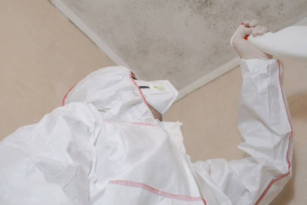 Best Mold Testing  in Chinook, MT